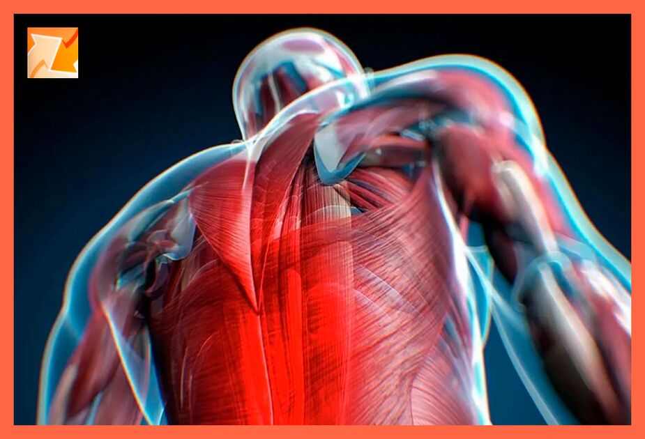 Discomfort characteristics